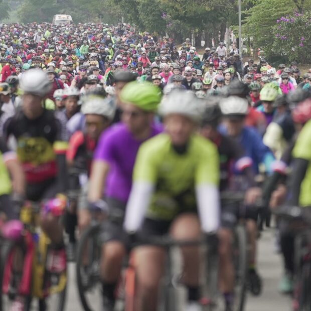 whatsapp image 2024 08 01 at 17.53.57