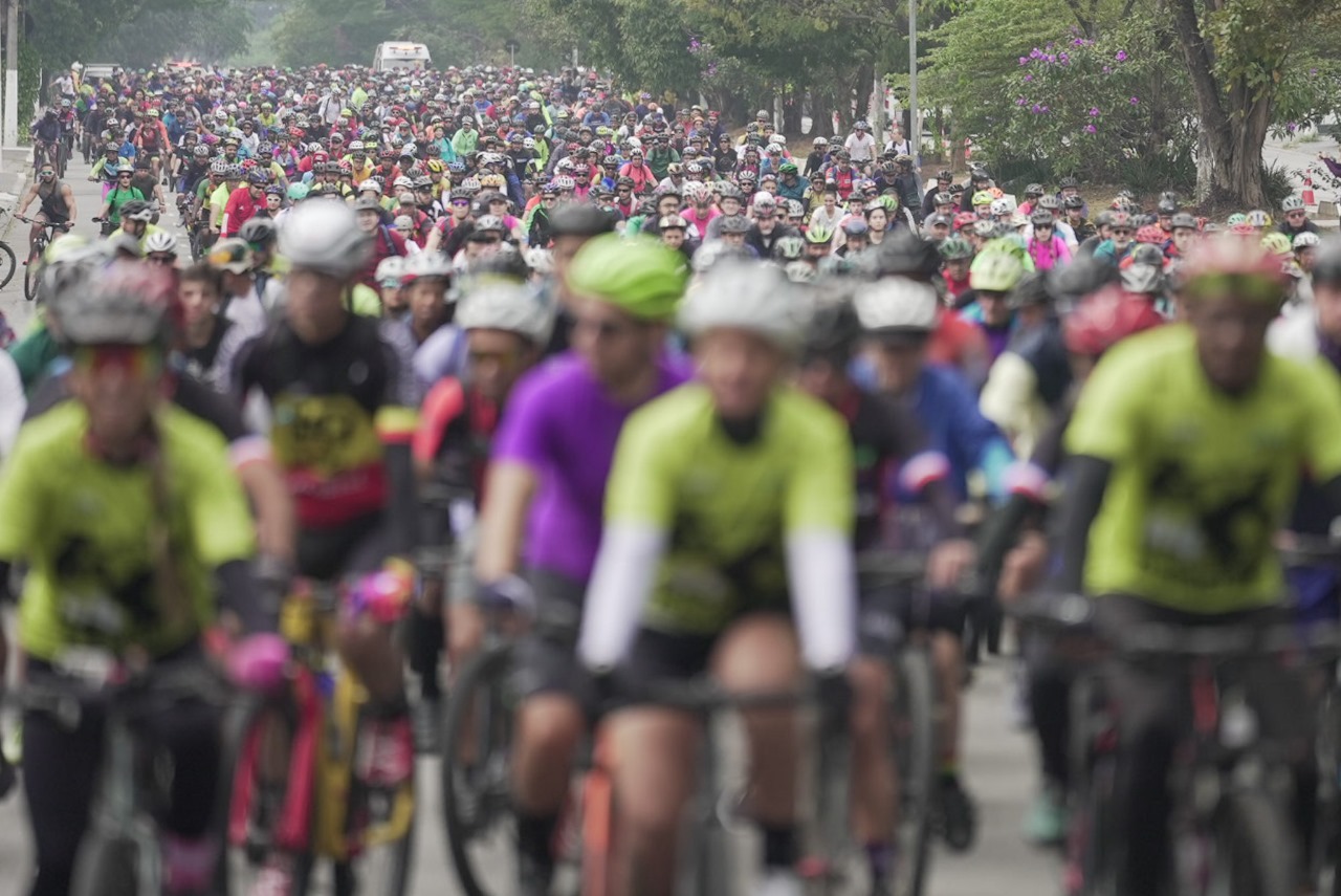 whatsapp image 2024 08 01 at 17.53.57