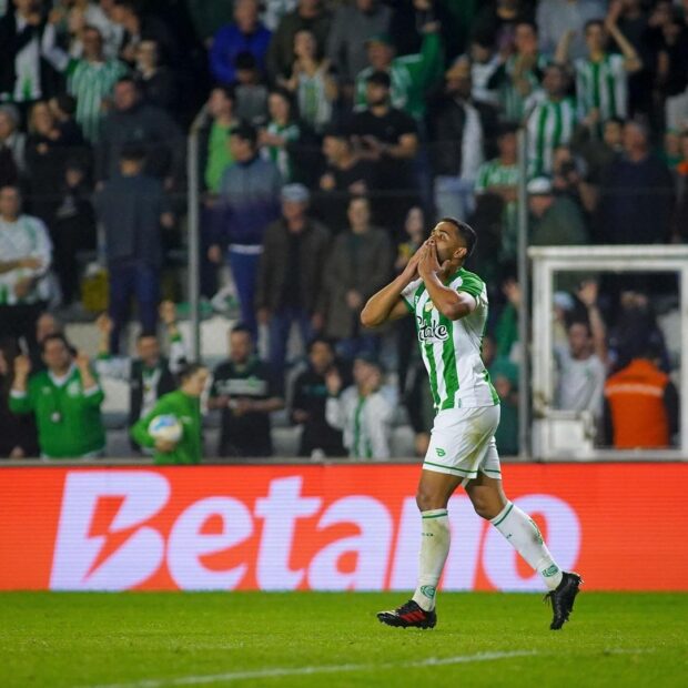 453646259 1918442812003012 5630016529895677415 n