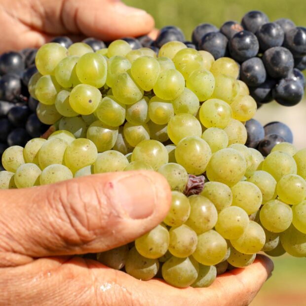 foto paulo h carvalho 1 1536x1024