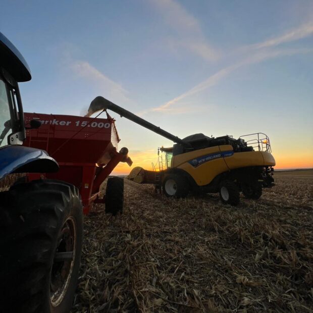 whatsapp image 2024 08 02 at 10.14.51