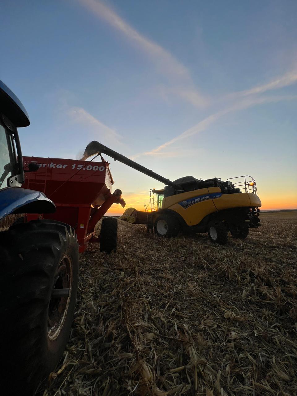 whatsapp image 2024 08 02 at 10.14.51