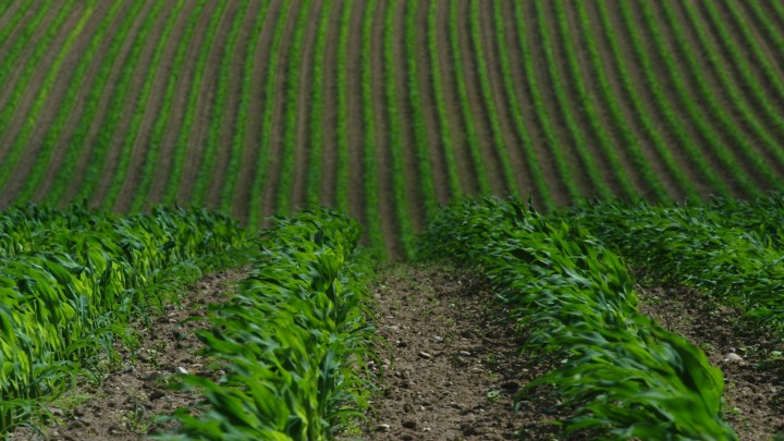 whatsapp image 2024 08 02 at 12.44.39 (1)