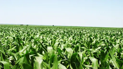 whatsapp image 2024 08 02 at 12.44.38