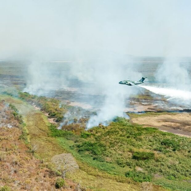 pantanal