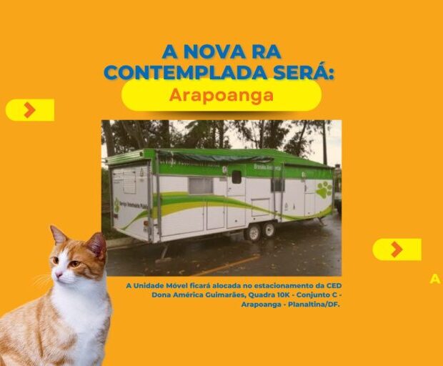 whatsapp image 2024 08 05 at 16.38.20 1536x512