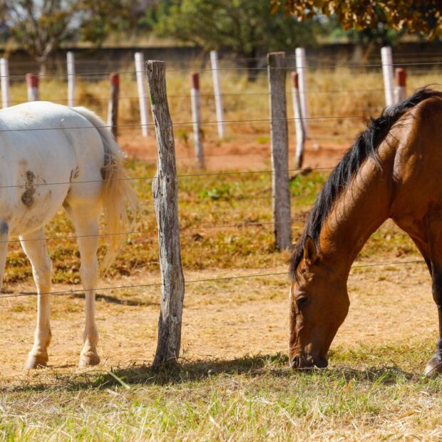 foto lucio bernardo jr 3 1536x1024