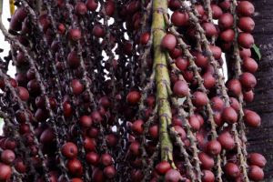 whatsapp image 2024 08 06 at 11.14.40 (3)