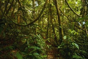 whatsapp image 2024 08 06 at 11.14.40 (1)