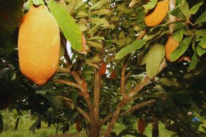 whatsapp image 2024 08 06 at 11.14.40 (2)