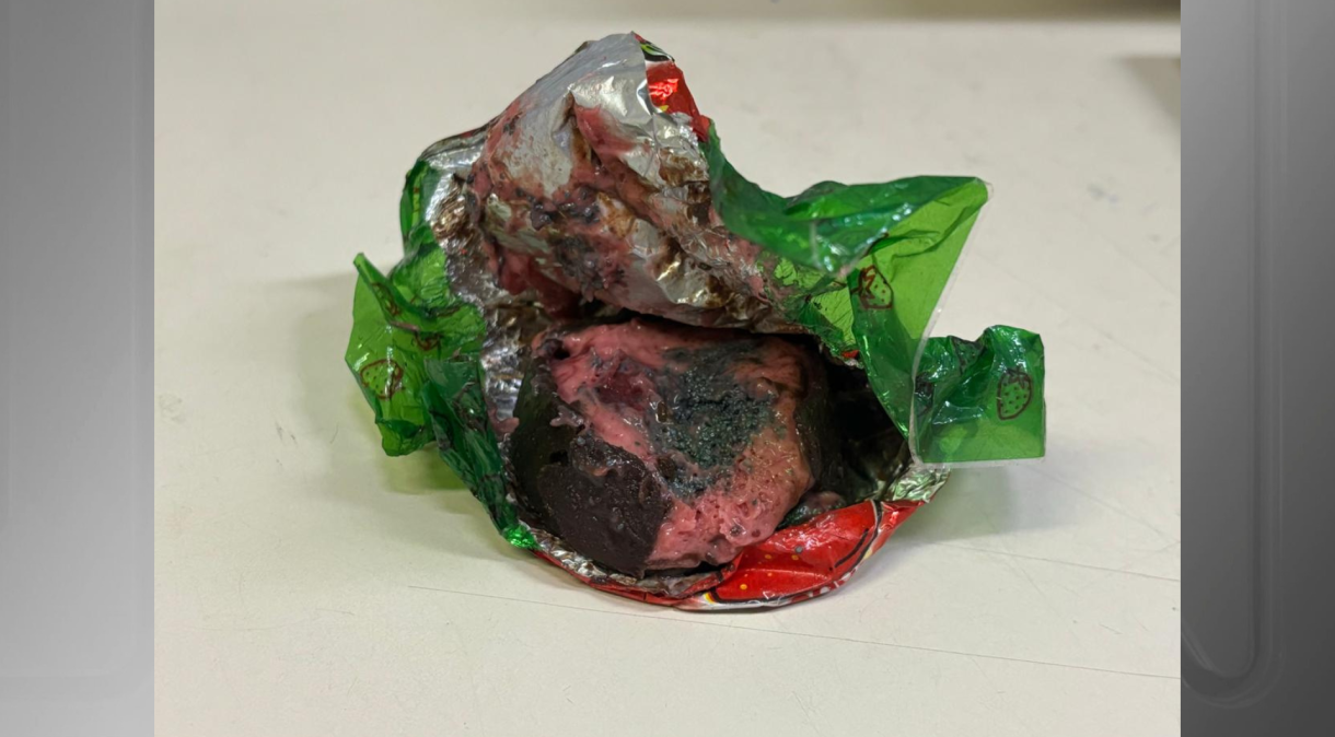 copia de copia de copia de copia de copia de copia de copia de copia de design sem nome 1