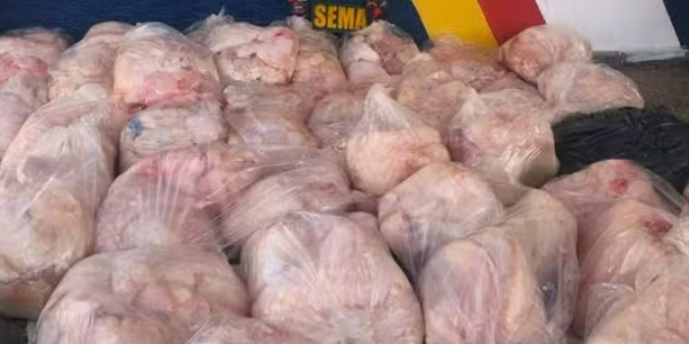 captura de tela 2024 08 08 070651