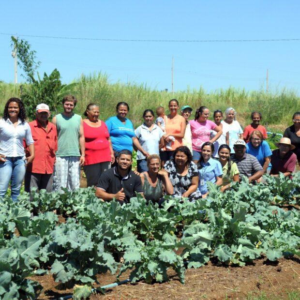 produtoras de organicos 1 1920x1275