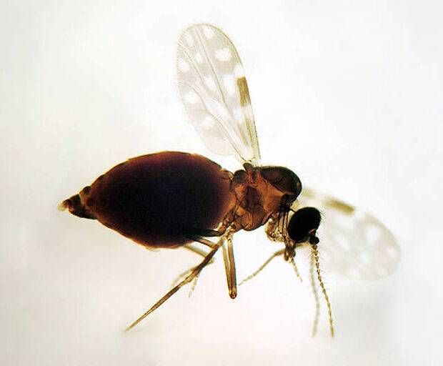 172315469966b5410b11991 1723154699 3x2 md