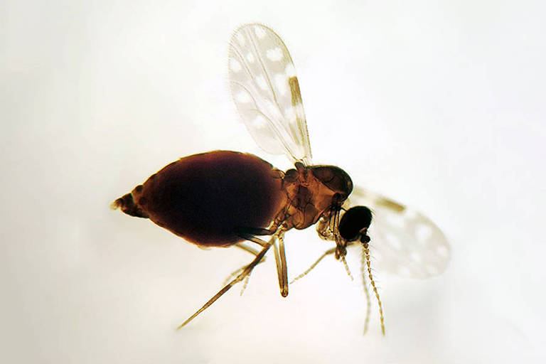 172315469966b5410b11991 1723154699 3x2 md