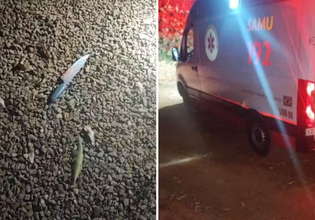 captura de tela 2024 08 12 070224