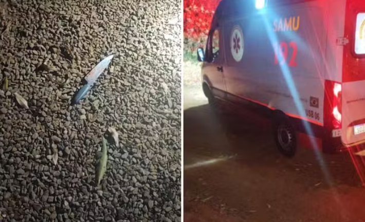 captura de tela 2024 08 12 070224