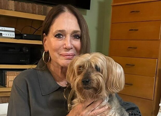 susana vieira morte da cachorrinha widelg