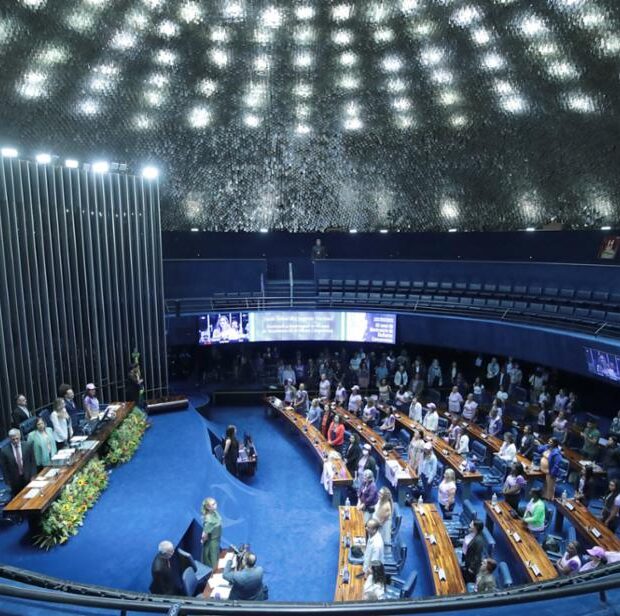 homenagem aos 40 anos do movimento de mulheres camponesas