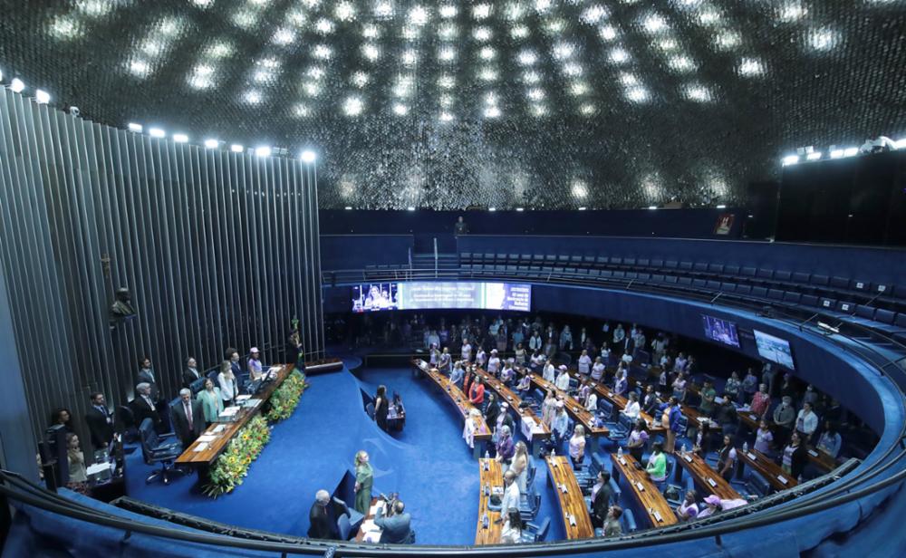 homenagem aos 40 anos do movimento de mulheres camponesas
