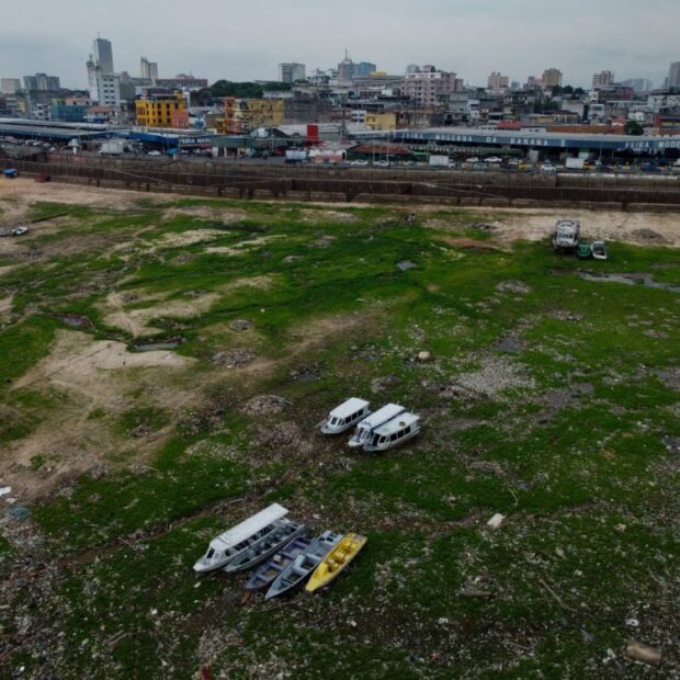 whatsapp image 2024 08 12 at 19.38.02