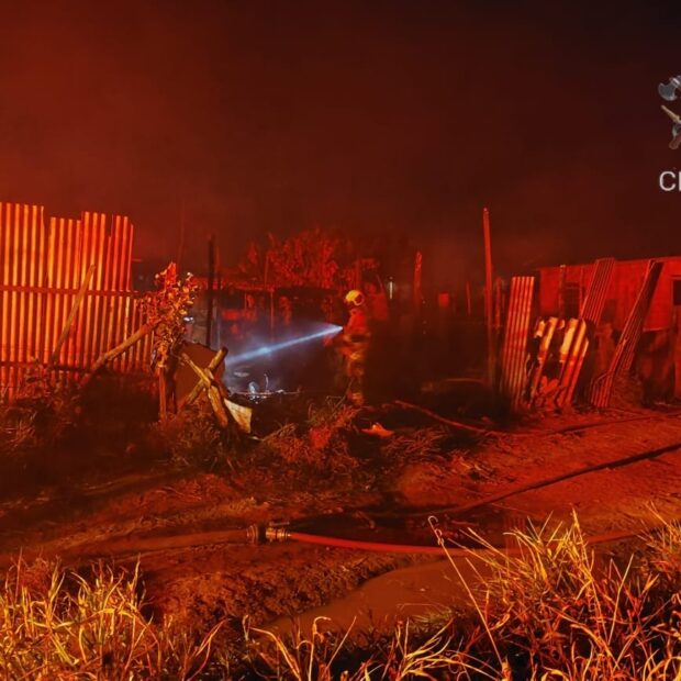 whatsapp image 2024 08 13 at 01.54.52