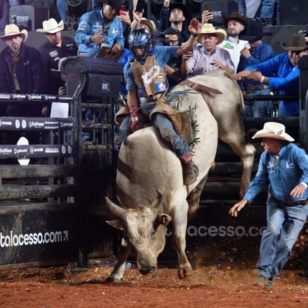 whatsapp image 2024 08 13 at 12.55.21