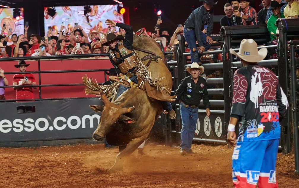 whatsapp image 2024 08 13 at 12.55.20 (1)