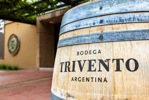 whatsapp image 2024 08 13 at 14.57.26