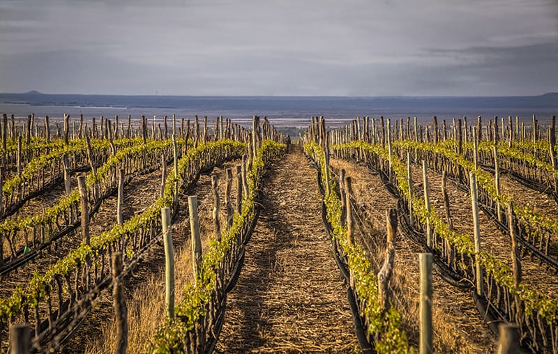 whatsapp image 2024 08 13 at 14.57.27