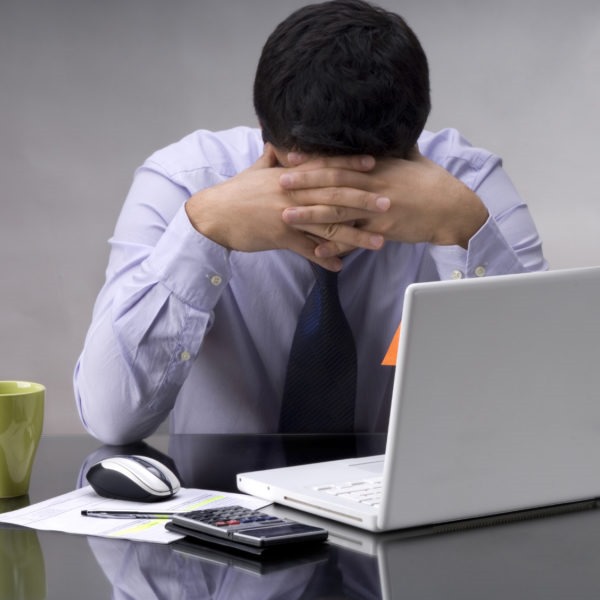 whatsapp image 2024 08 14 at 13.09.13