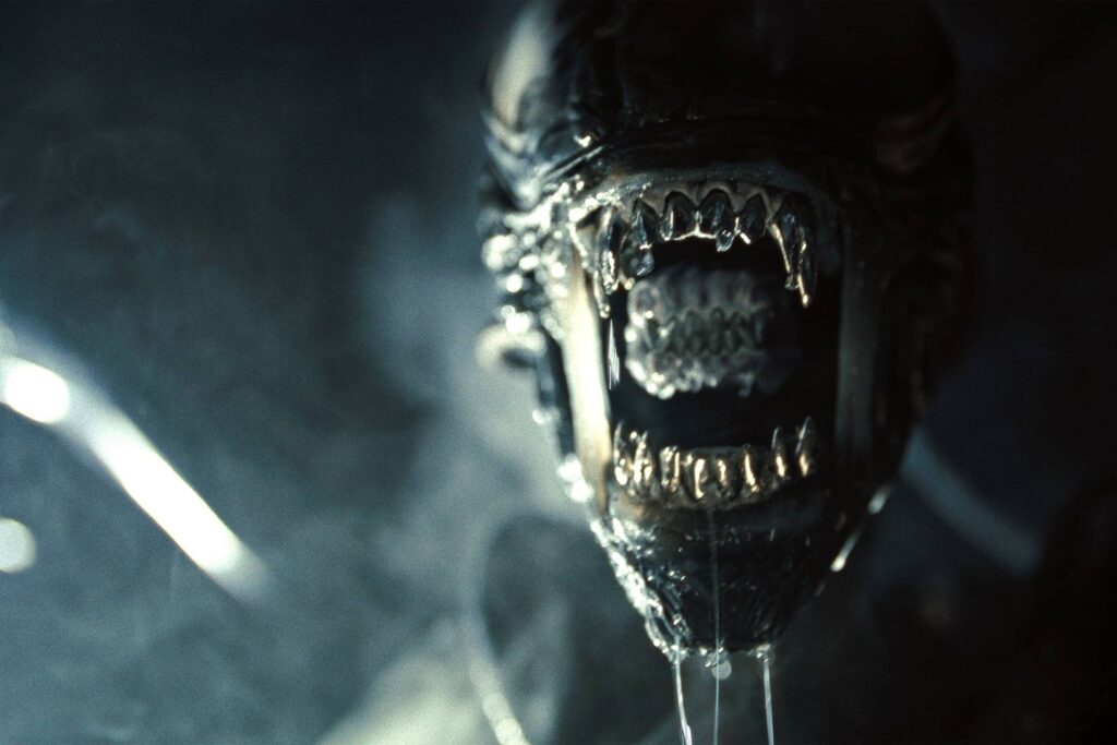 172364722466bcc4f874775 1723647224 3x2 rt