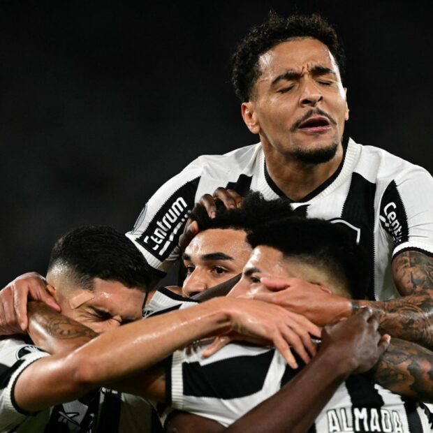 fbl libertadores botafogo palmeiras