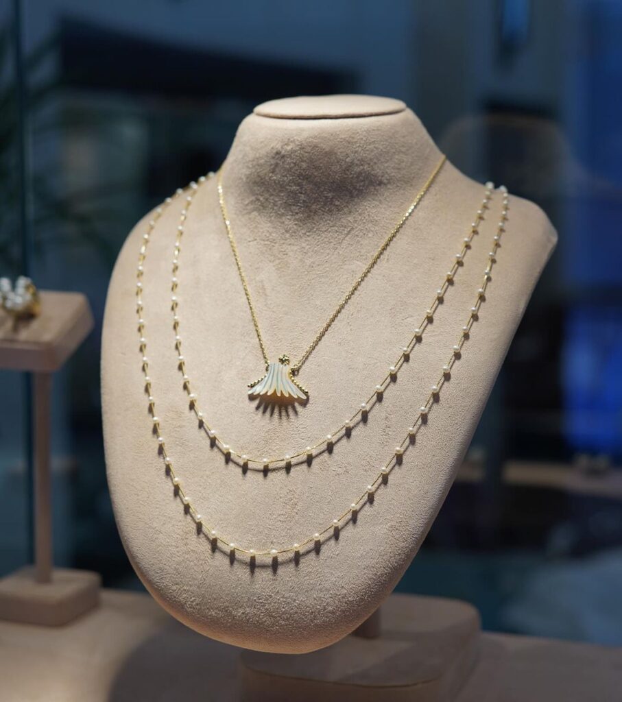 whatsapp image 2024 08 15 at 11.16.31 (1)