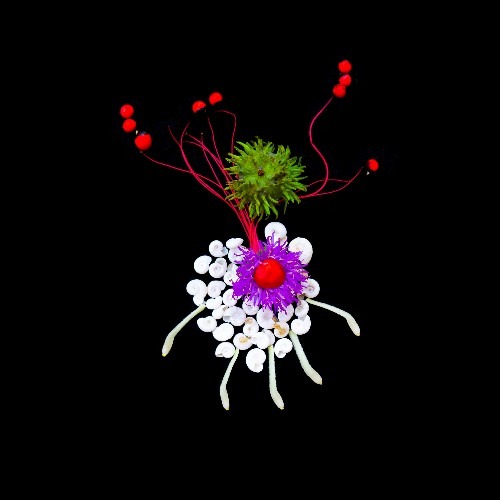 natureza urbana no ccbb brasília deboa brasilia