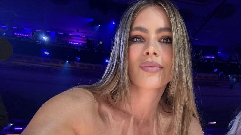 sofia vergara widelg