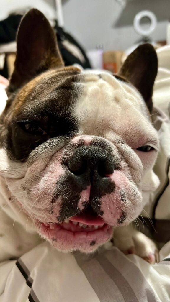 whatsapp image 2024 08 16 at 14.37.01