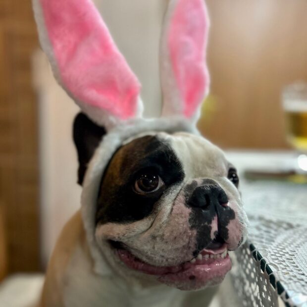 whatsapp image 2024 08 16 at 14.37.01 (1)