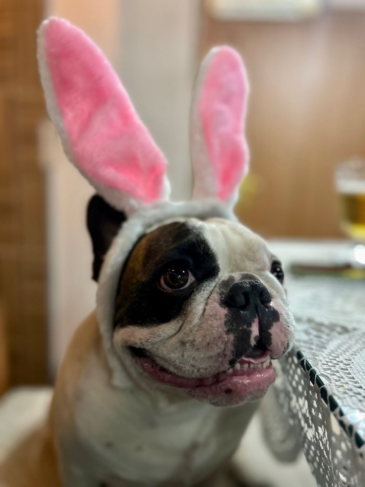 whatsapp image 2024 08 16 at 14.37.01 (1)