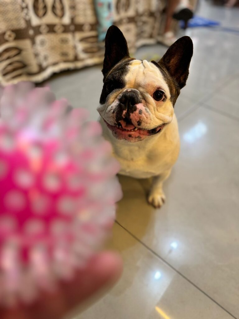 whatsapp image 2024 08 16 at 14.37.00