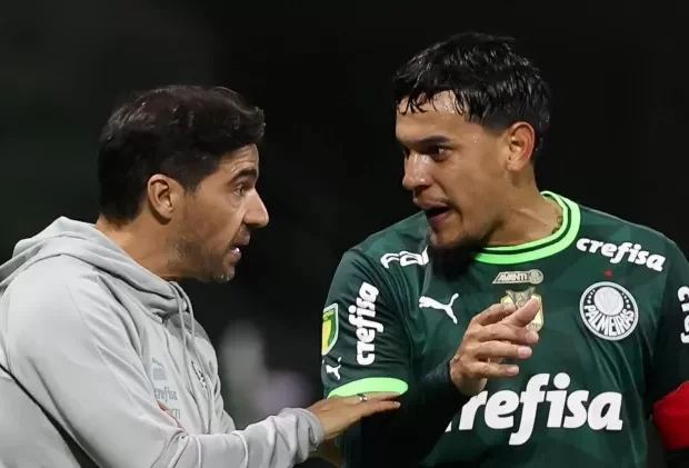 palmeiras 1