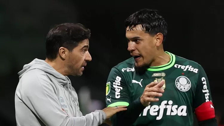 palmeiras 1