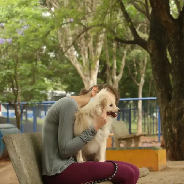 tutores com caes no parcao espaco exclusivo para cachorros na praca ayrton senna do brasil rvsa abr 103020210149 1