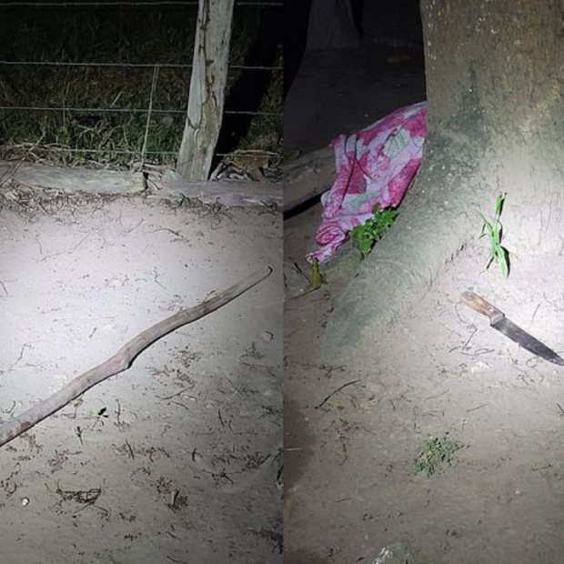 captura de tela 2024 08 19 081130