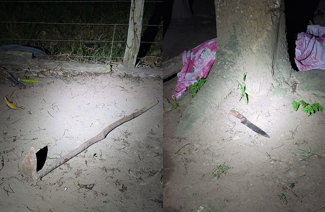 captura de tela 2024 08 19 081130