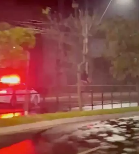 captura de tela 2024 08 19 130345