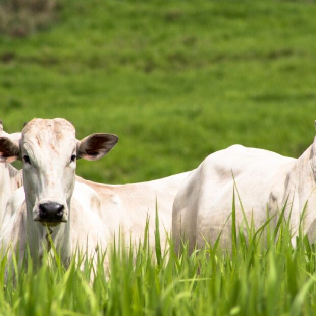 whatsapp image 2024 08 19 at 12.59.34 (1)