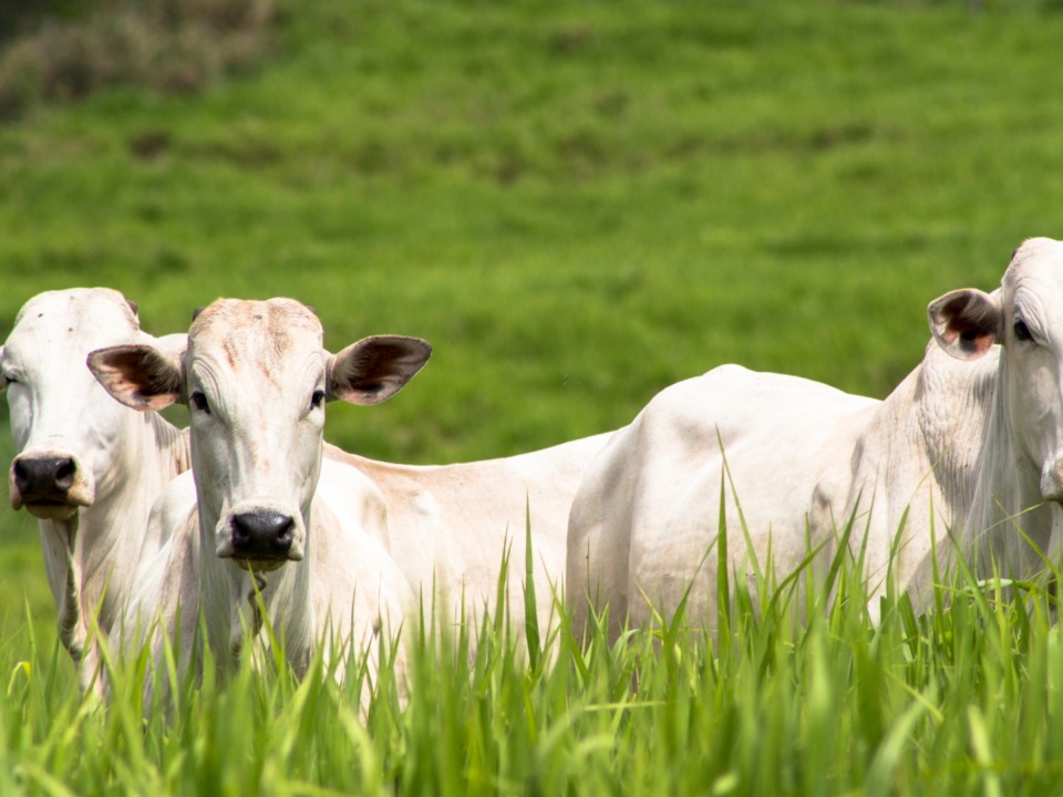 whatsapp image 2024 08 19 at 12.59.34 (1)