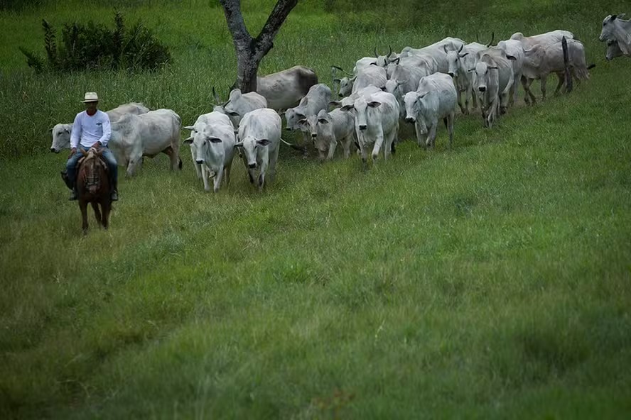 whatsapp image 2024 08 19 at 12.59.34