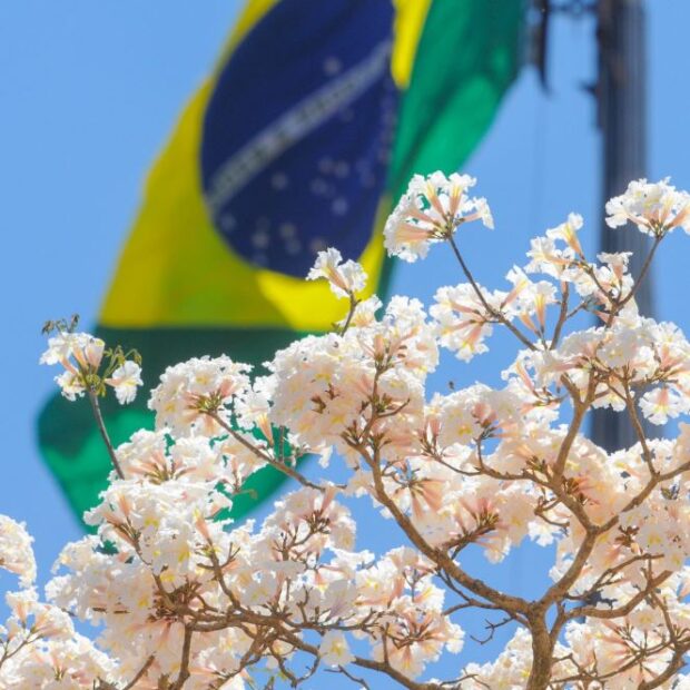 foto paulo h carvalho 2 1 1920x1275